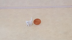 Mini White Kitten