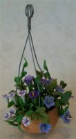 Hanging Flowers