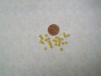 25 Dubloon Coins