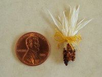 1/2" Scale Indian Corn