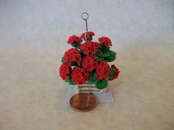 Red Geraniums in Hanging Plant