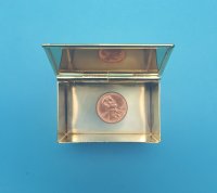 Brass Log Box/Treasure Chest