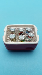 Igloo Cooler filled w/Cans