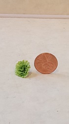 Lettuce Head - Click Image to Close