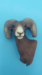 Big Horn Sheep Head