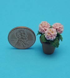 Hydrangea in Pot - Pink